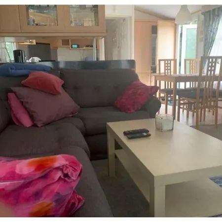 Holenderski Jasnotka ゴウビエ