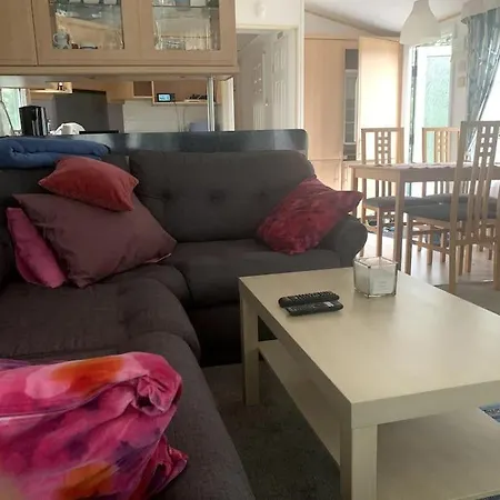 Holenderski Jasnotka *