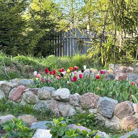 別荘 Holenderski Jasnotka