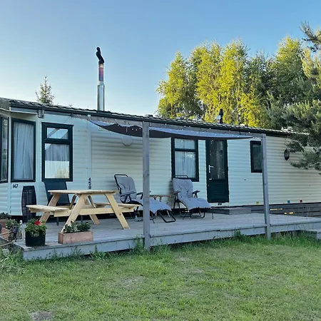 Holenderski Jasnotka ゴウビエ