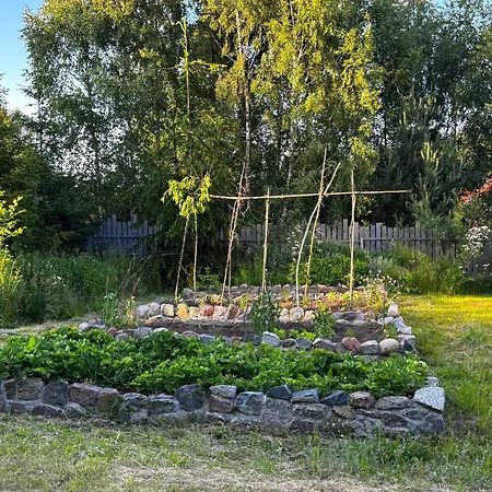 Holenderski Jasnotka Casa vacanze