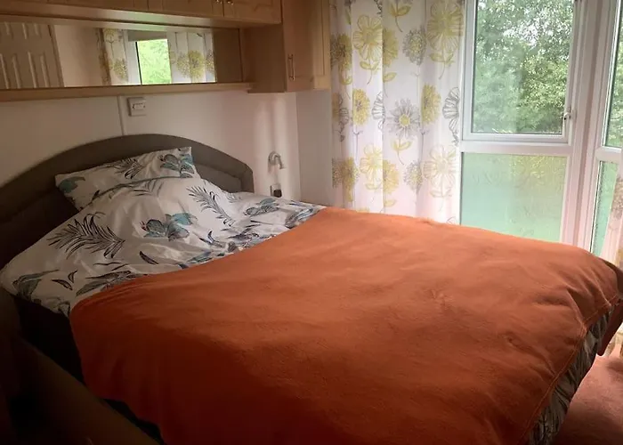 Holenderski Jasnotka Dom wakacyjny Golubie