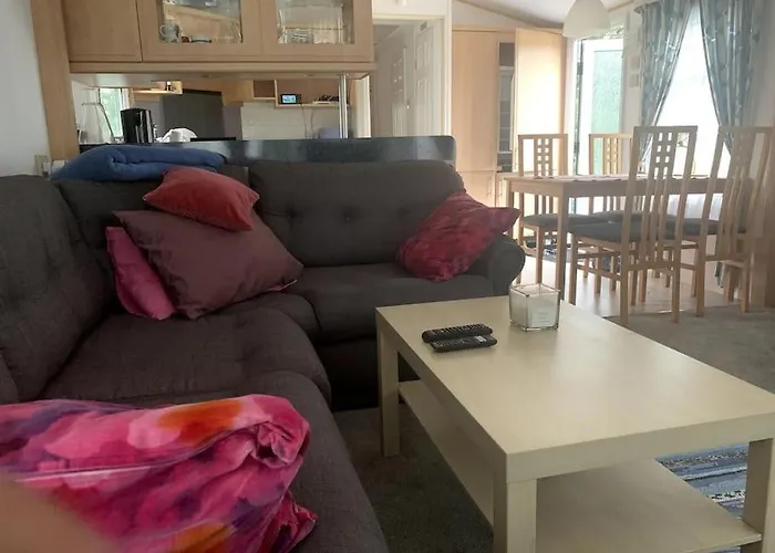 Holenderski Jasnotka *