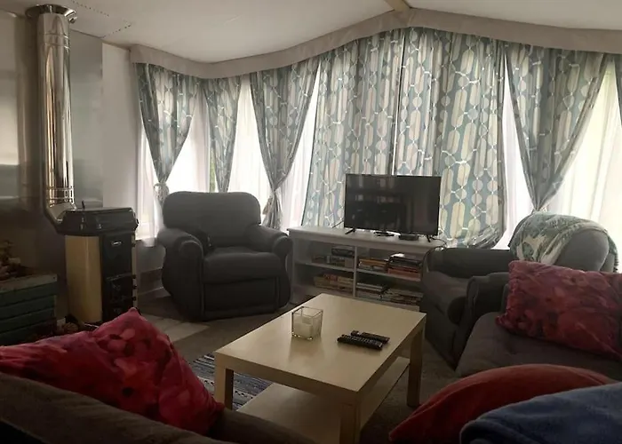 Holenderski Jasnotka Golubie