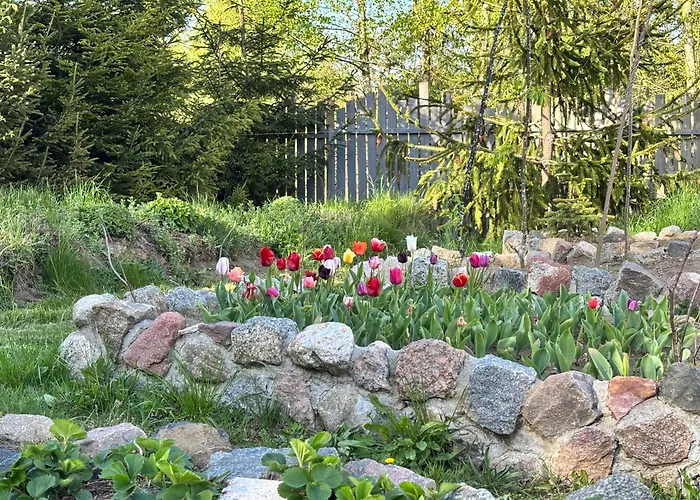 Dom wakacyjny Holenderski Jasnotka