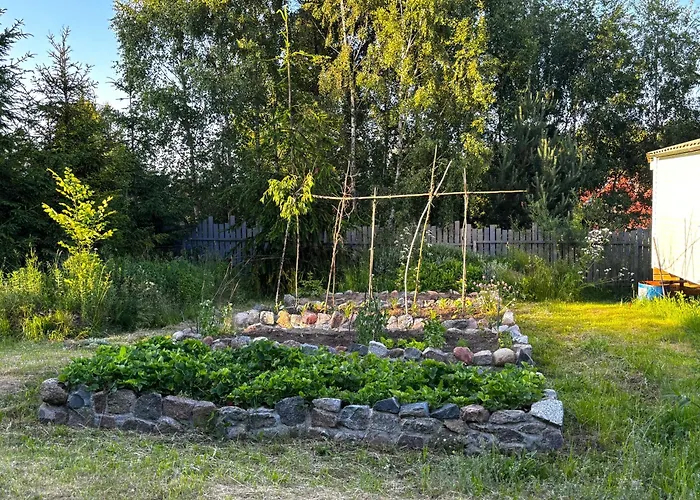 Holenderski Jasnotka Dom wakacyjny