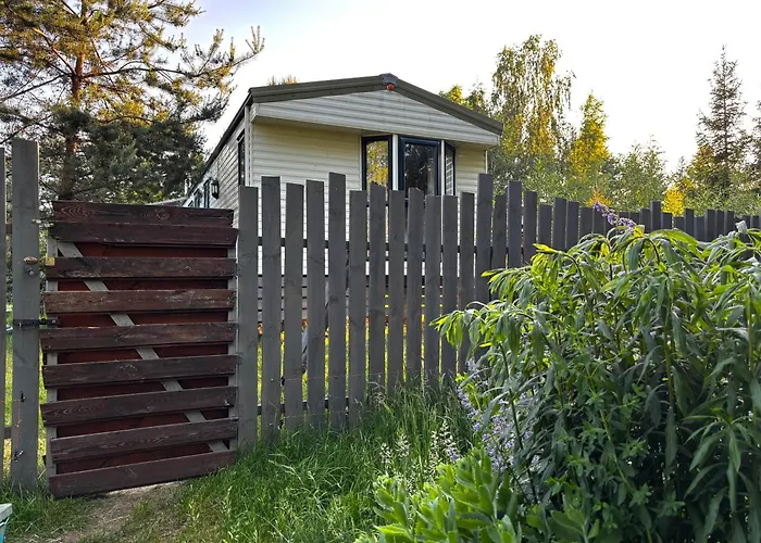 Holenderski Jasnotka Dom wakacyjny Golubie